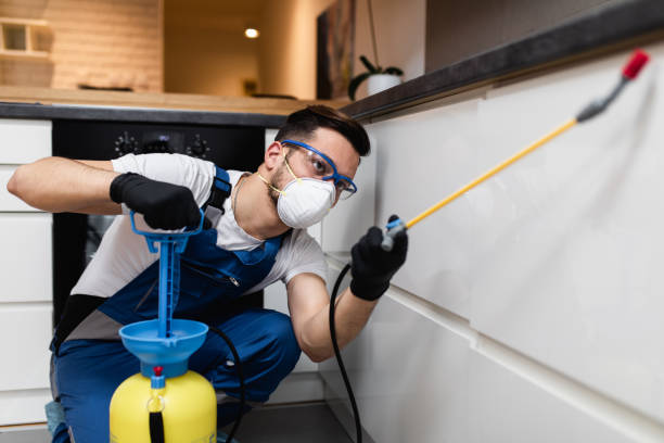 Best Pest Inspection Near Me  in Jamesport, NY