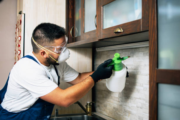 Professional Pest Control in Jamesport, NY