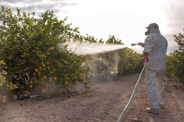 Best Pest Control Treatment  in Jamesport, NY