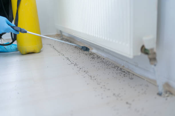 Best Commercial Pest Control Services  in Jamesport, NY