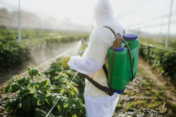 Best Mosquito Control Services  in Jamesport, NY
